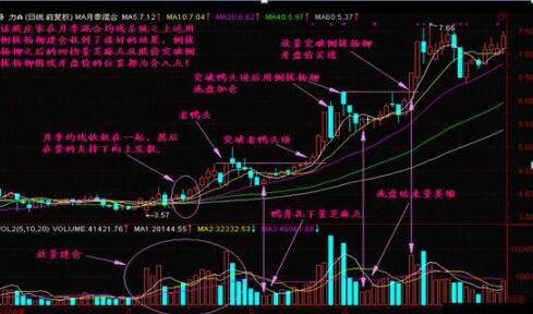 股票倒拔垂杨柳是什么形态？怎么进行分析？